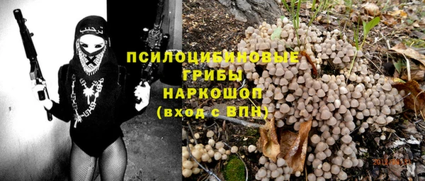 ешки Алексин