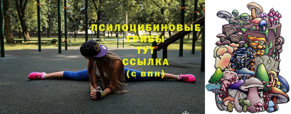 амфетамин Алексеевка