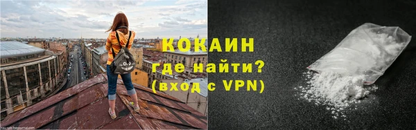ешки Алексин