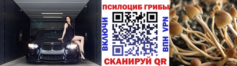 Галлюциногенные грибы ЛСД  наркота  Полысаево 