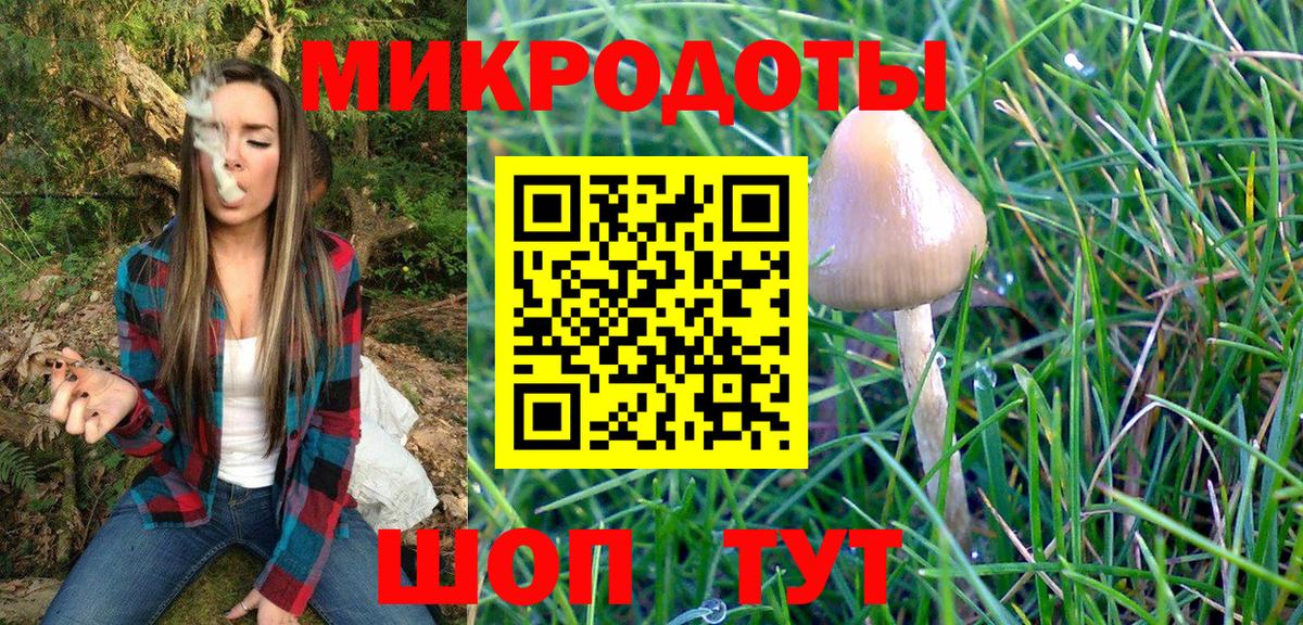 Галлюциногенные грибы мицелий Полысаево