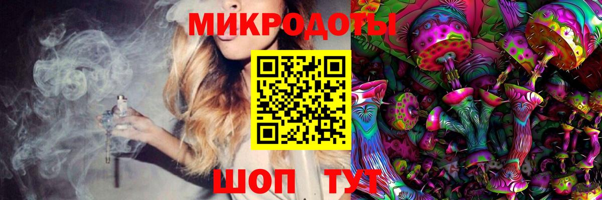 Полысаево  Псилоцибиновые грибы Psilocybe  Псилоцибиновые грибы мицелий  Вход с VPN 